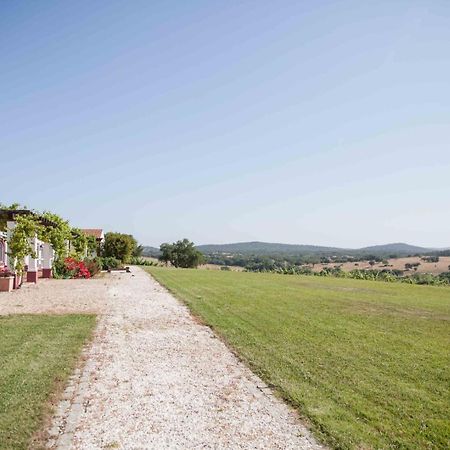 Stunning Mansion In Sao Cristovao Villa Montemor-o-Novo Exterior photo
